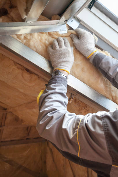 Best Insulation Replacement Services  in Mount Airy, NC